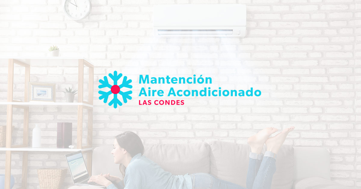 Maintenance of the air conditioner